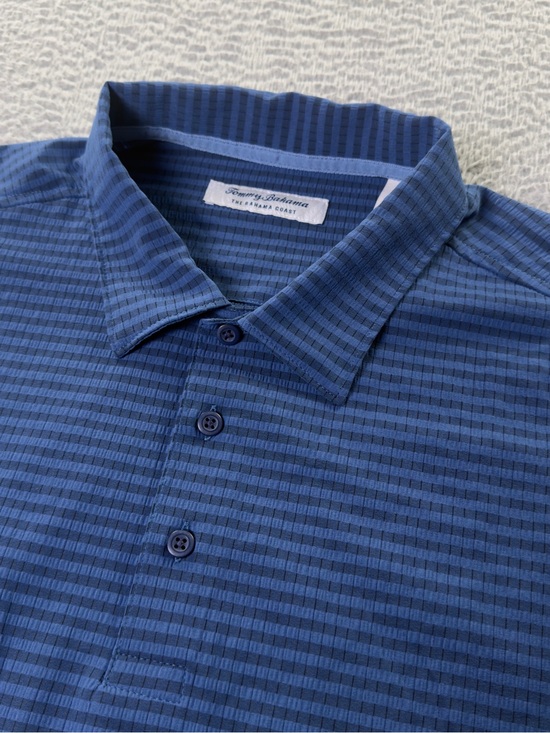 Tommy Bahama Other - Tommy Bahama The Bahama Coast Polo Shirt Mens Large Blue Striped Preppy Casual